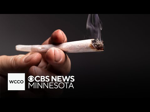 Minnesota’s weed enthusiasts prepare for a historical 4/20 celebration