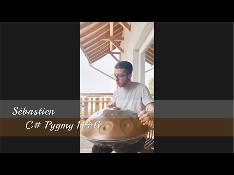 MrPans handpan - C# Pygmy 11+6 - Sebastien