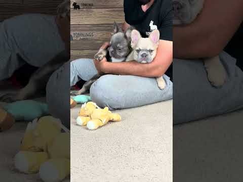 Video 5