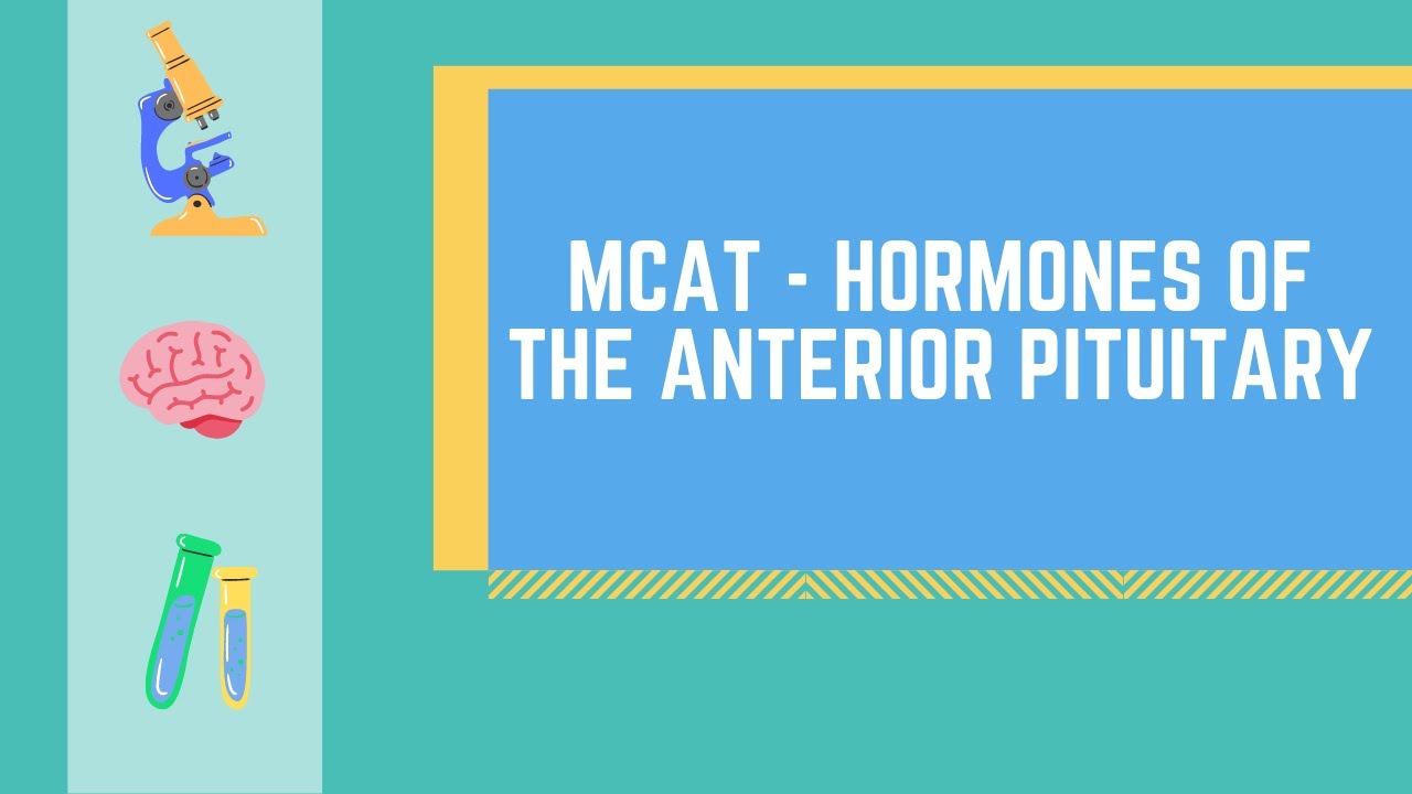 Anterior Pituitary Hormones Made EASY