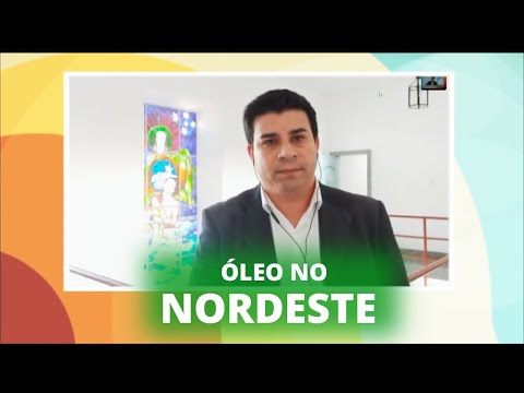 Óleo no Nordeste: deputados estão em Pernambuco acompanhando situação no litoral - 08/11/19