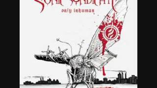 Sonic Syndicate Freelancer