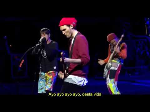 Red Hot Chili Peppers - Goodbye Angels Live (Legendado) (Debut)