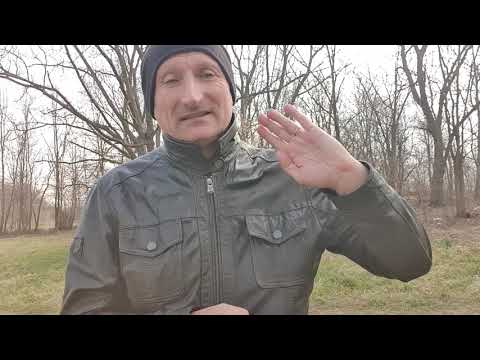 577   U EKSPLOZIJi HAOSA U SVETU  KAKO DA CARSTVO BOŽIJE OSTANE U NAMA?