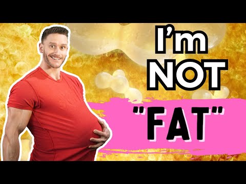 What is Causing Your Beer Belly? (Besides the Obvious)