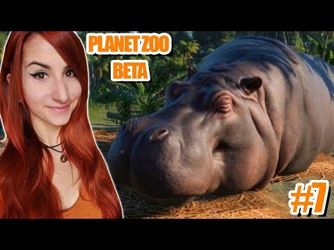 Die Hippos ziehen ein!! | Planet Zoo Beta #7