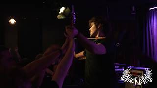 blackbird // Full Set// 24.01.26