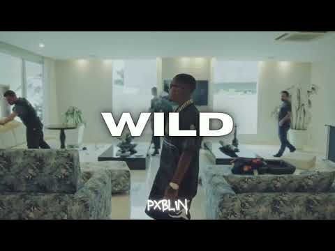 WILD | Orochi x Viluje x DALAK | Trap type beat (prod. pxblin)