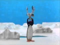 Pingu E Il Gabbiano Sottotitolato ITA
