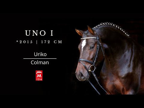Uno I *2015 v. Uriko - Colman