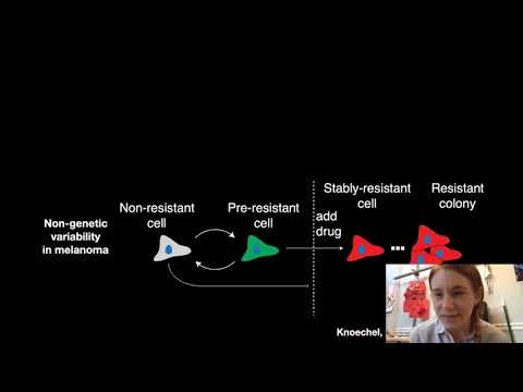 Single-cell variability underlying cancer therapy resistance | Sydney Shaffer | SCP2020