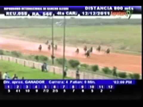 Resumen Lunes, 12 de Diciembre de 2011 - Rancho Alegre