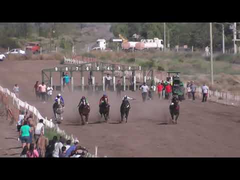 INDIA  Club Hípico Añelo - Añelo - Neuquén - 12-03-2023
