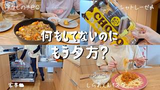 【vlog】子なし主婦の平日🌱／パート終わりの過ごし方と自炊🍳／毎日気付けば夕方🌛／頑張り過ぎず、マイペースに過ごすルーティン【子なし夫婦の日常】