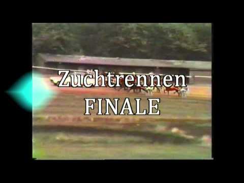 Cornelis Loman, Een Leven Met Dravers