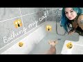 Beautifull BATHING MY CAT, Video Sphynx Cat Bath paling baru!
