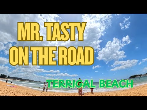 Slow Travel Down Australia's Quietest Coast in 4K