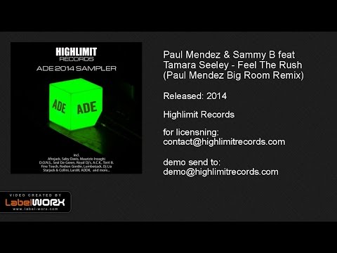 Paul Mendez & Sammy B feat Tamara Seeley - Feel The Rush (Paul Mendez Big Room Remix)