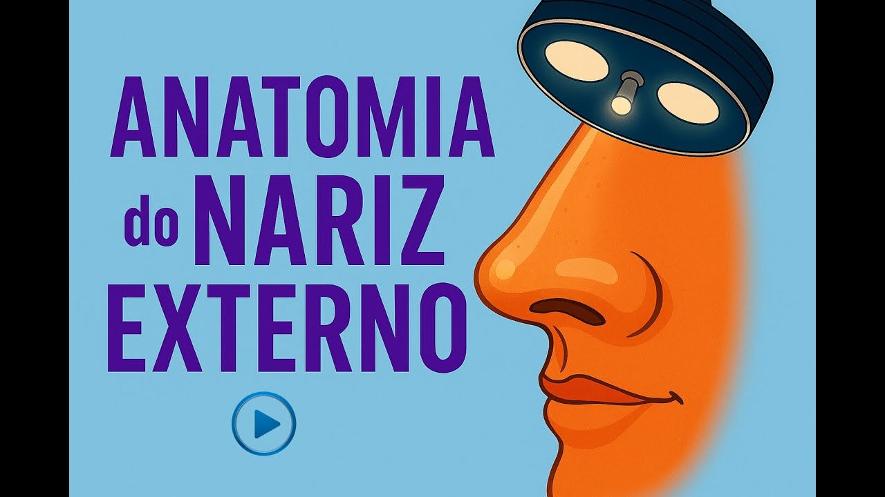 ANATOMIA DO NARIZ EXTERNO #anatomy #medicina #anatomia #otorrino #fisioterapia #medstudent