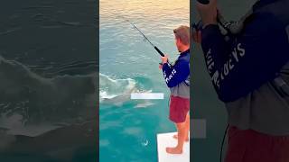 Quase Foi Devorado #shorts