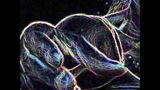 Liars - Flood to Flood