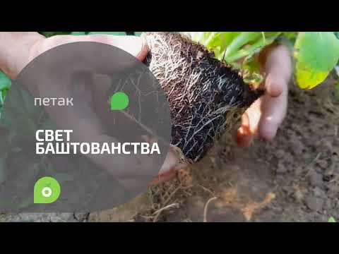 Svet baštovanstva ep. 120 17.07.2020. NAJAVA