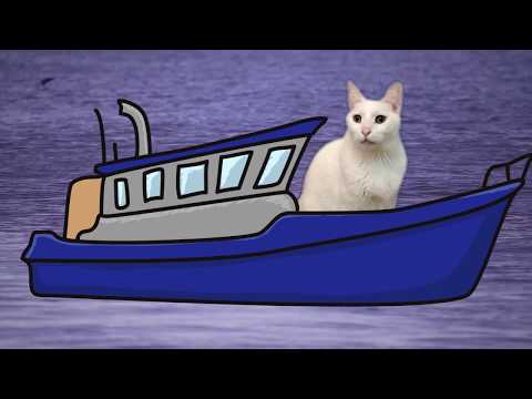 Row Row Row Your Boat  - Cats Version - Singing Cats