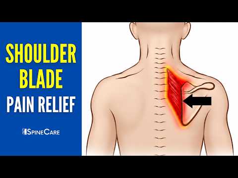 Fix Shoulder Blade Pain in SECONDS (Instant Relief)