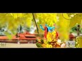 Dwarika No Nath Maro Raja Ranjod Che Ane Mane Maya Lagadi Re Ll Jay Dwarkadhish Ll