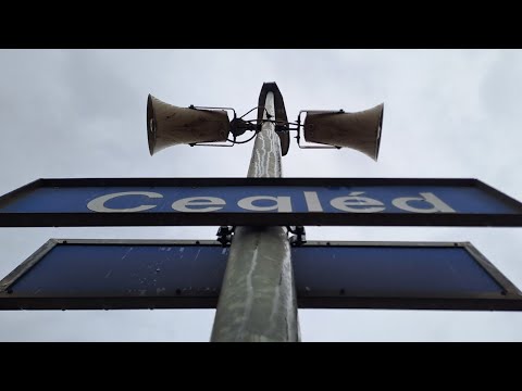 Hangosbemondások Cegléden