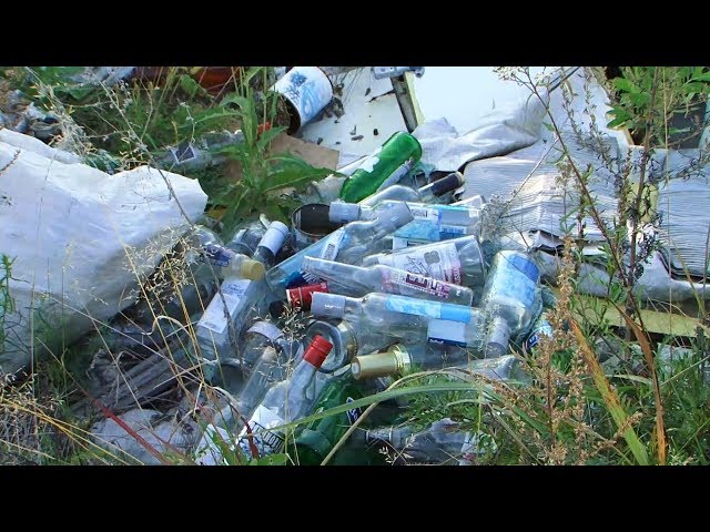 Заросли мусором