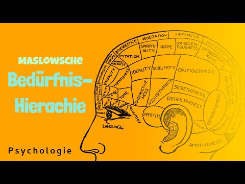 Hierarchy of needs according to Abraham Maslow 👨‍🎓 Deficit needs explained 🥺 Pedagogy Abitur Moti...