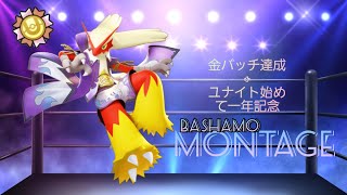 バシャーモモンタージュ