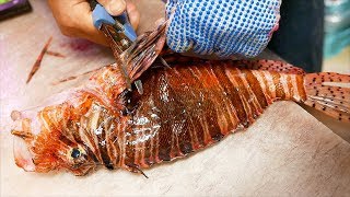 Download lagu Japanese Street Food - LIONFISH Most VENOMOUS Fish in the World! mp3