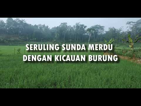 SERULING SUNDA MERDU DENGAN KICAUAN BURUNG ENAK DI DENGAR UNTUK RELAKSASI