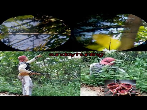 Pangangaso sa bukid.