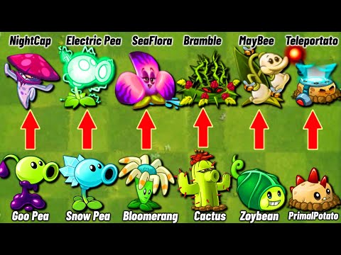 PvZ2 Discovery - Plants Evolution WEAK - STRONG! New Update (Ver.10.4.1)
