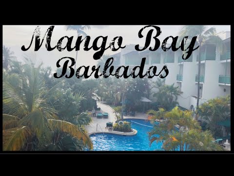 Videos del Mango Bay 5★ en Saint James, BarbadosVer MásVerPrecios20CerrarConsulta por Whatsapp 🇦🇷BookingTripadvisorExpediaAgodaTravelocityOrbitzPricelineTripSkyscannerDespegarKayakHotelesBestdayTrivagoTurismocityAlmundoLastminuteHotwireTuiWotif