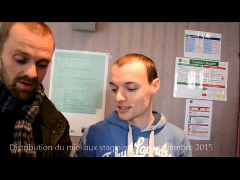 download lagu mp3 mp4 Formation Apiculteur Afpa, download lagu Formation Apiculteur Afpa gratis, unduh video klip Formation Apiculteur Afpa