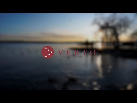 Verto - Vad är nästa steg i karriären?