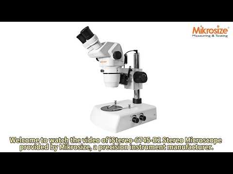 iStereo-6745-B2 Stereo Microscope