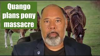 Download lagu 'Natural England' Quango threatens slaughter of 90% of Dartmoor ponies mp3