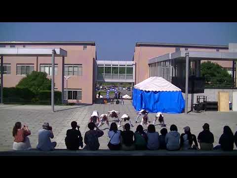上級生Girls 2017海遊祭 Day2