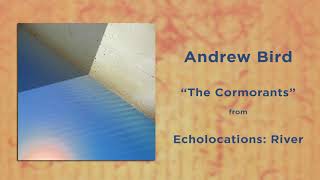 Andrew Bird - The Cormorants | Echolocations: River | 2017 | HQ AUDIO