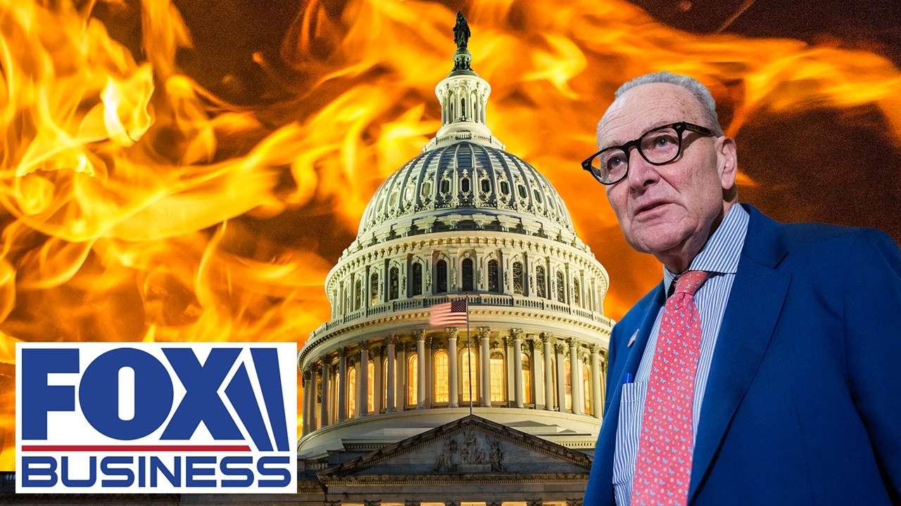 'INFLICT PAIN': GOP rep EXPOSES Schumer’s strategy against Americans