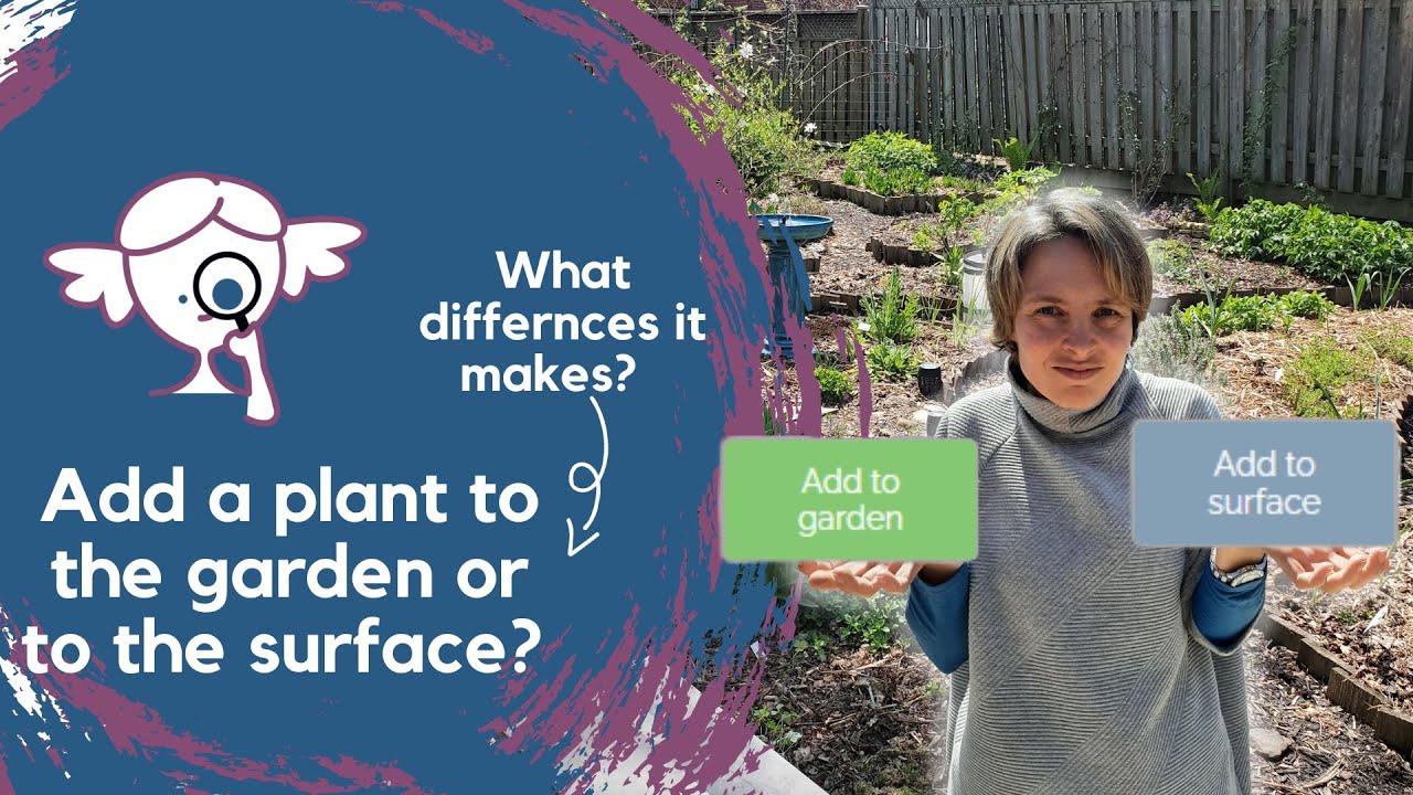 Add a plant to the garden or to the surface