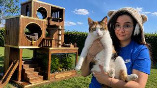 Video thumbnail image