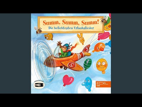 Video thumbnail for Sommersonne