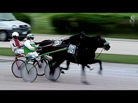 Aversa trotto 9 Gennaio 2021 - 5° Corsa