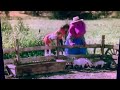 Barney S First Adventures Old Macdonald Had A Farm